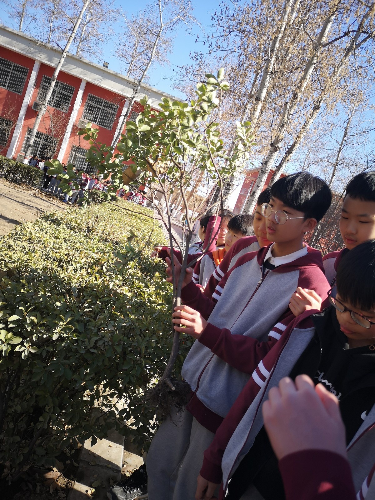 微信图片_20190322104809.jpg